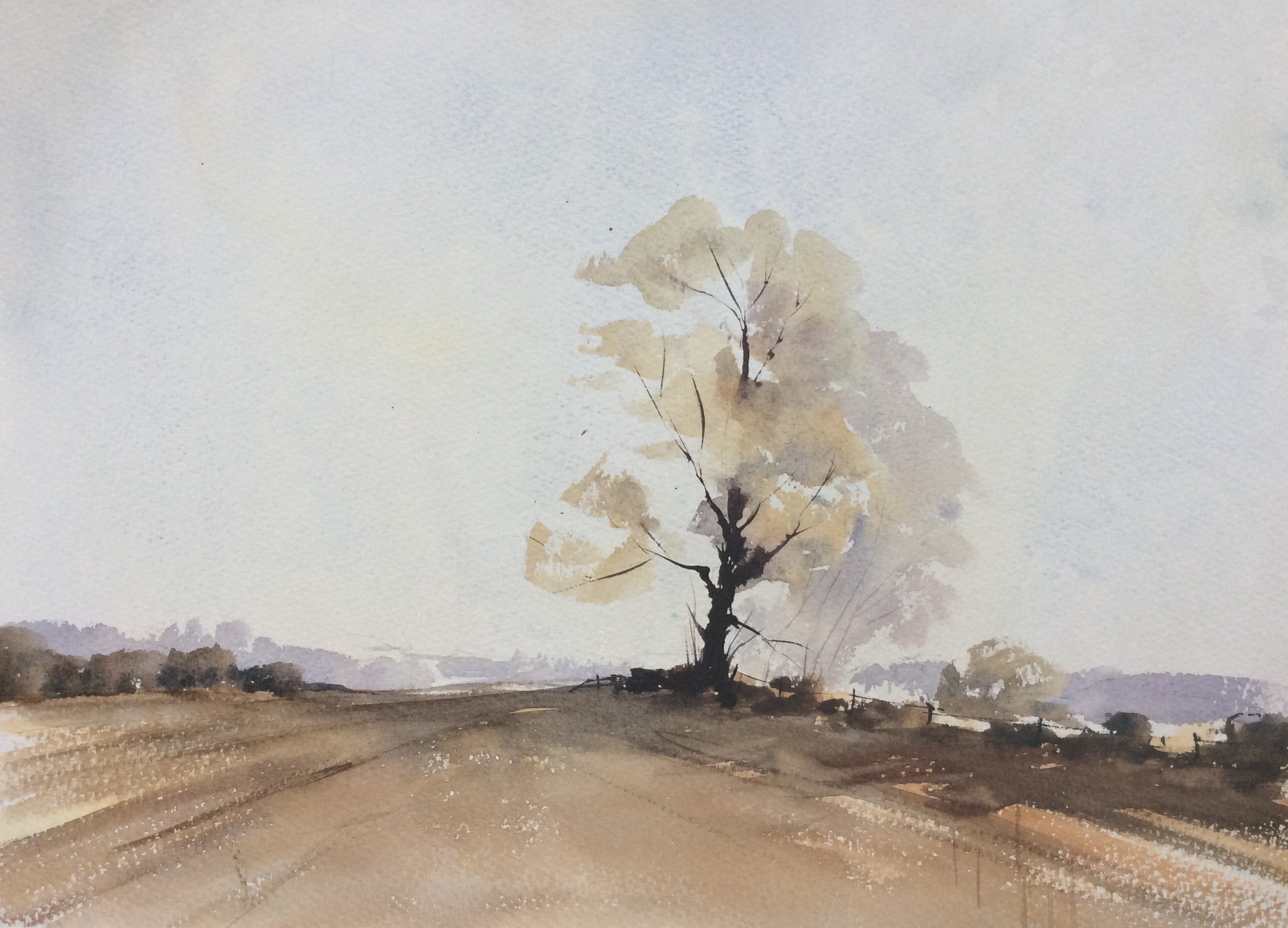 A Wesson inspired landscape