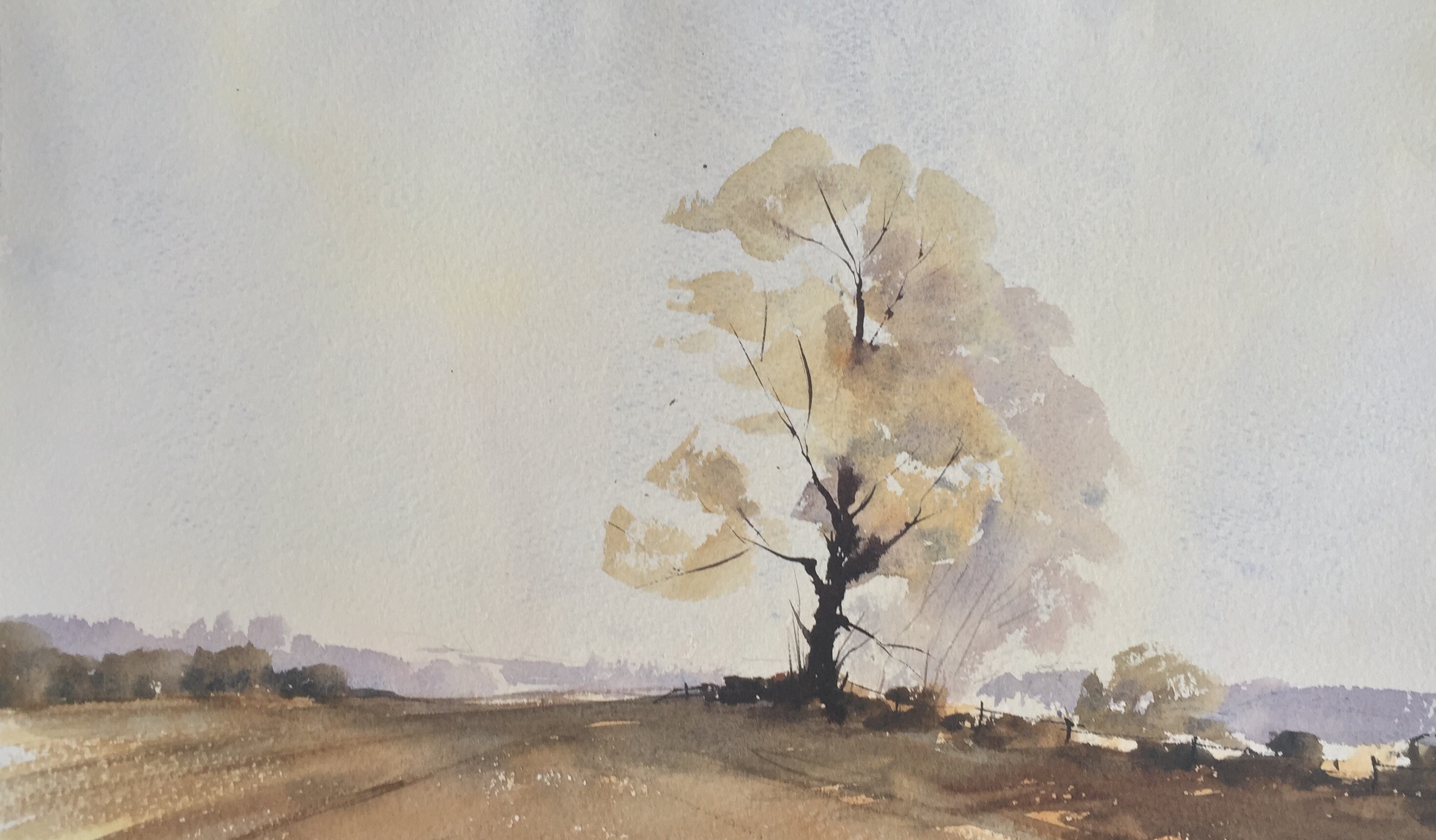 Wesson-esq landscape cropped top and bottom